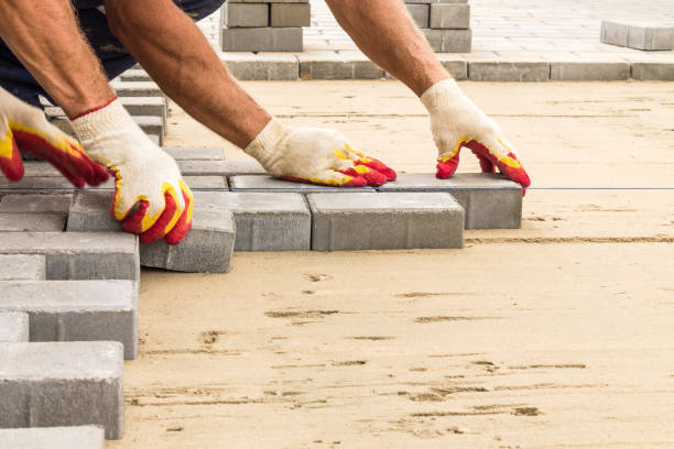 Best Driveway Pavers for Homes  in Madison Lake, MN