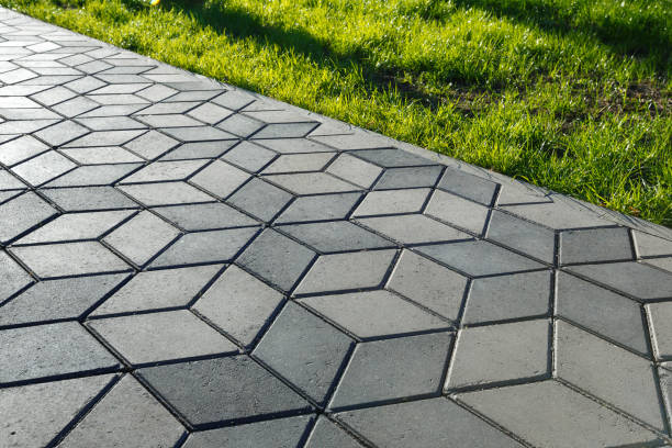 Best Professional Driveway Pavers  in Madison Lake, MN