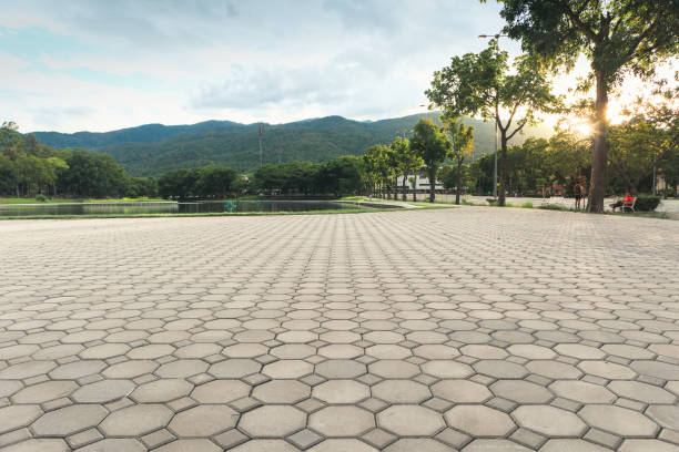 Best Driveway Paving Contractor  in Madison Lake, MN