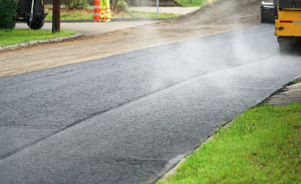 Best Residential Driveway Paver Services  in Madison Lake, MN